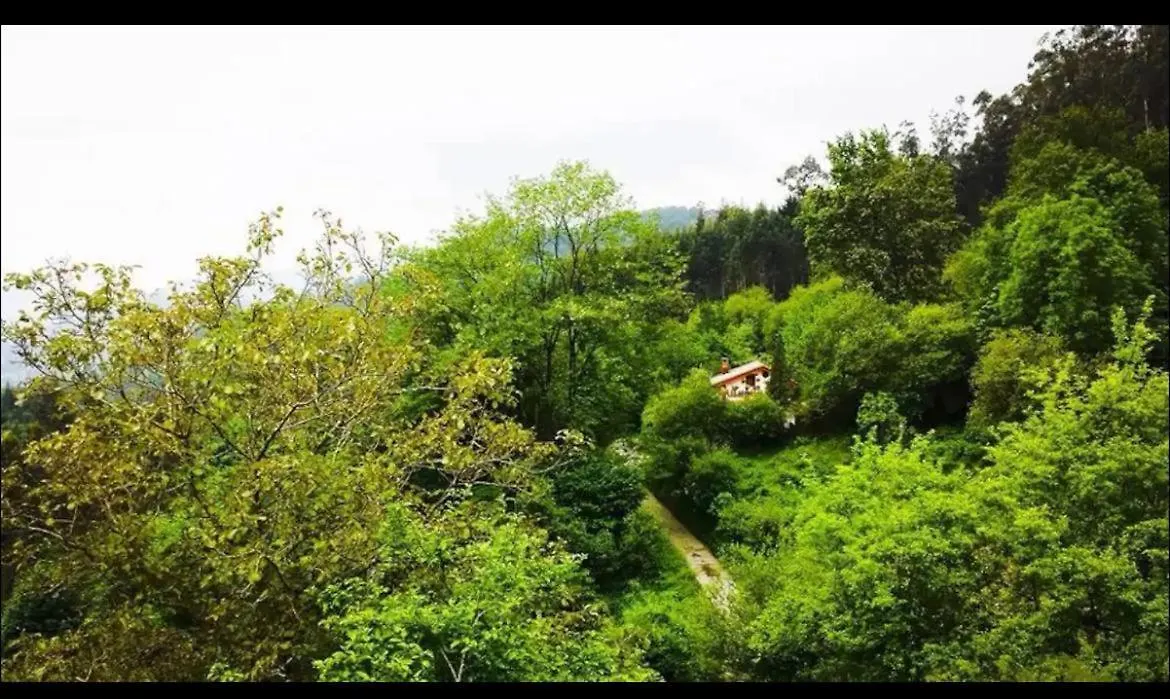 Villa Basoan Etxea Sopuerta